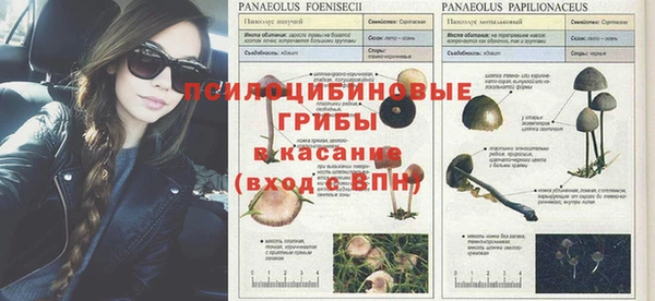 Альфа ПВП Балахна
